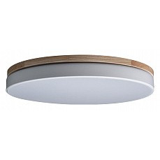 Накладной светильник loft it axel 1...
